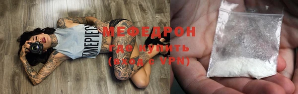 стаф Аркадак