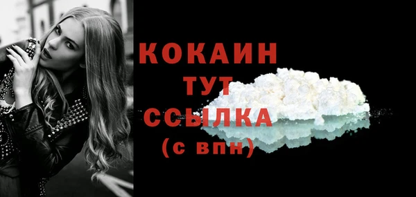 шишки Заволжье