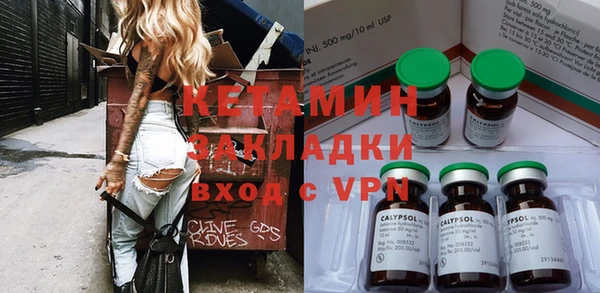 стаф Аркадак