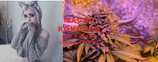 стаф Аркадак