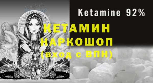стаф Аркадак